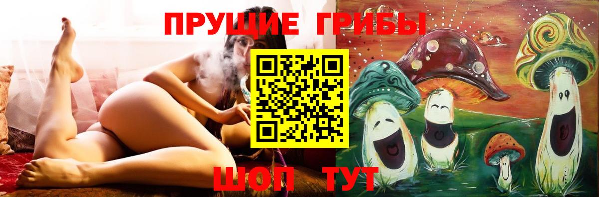 Ейск  где купить наркотик  Вход с VPN  Галлюциногенные грибы GOLDEN TEACHER 